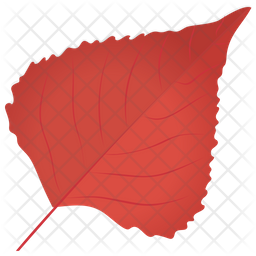Aspen Leaf Icon