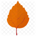 Aspen Leaf Birch Leaf Orange Leaf Icon