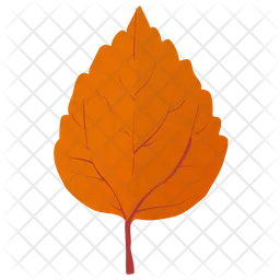 Aspen Leaf  Icon