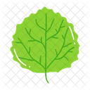 Leaf Ash Leaf Beech Leaf Icon