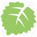 Aspen Leaf  Icon