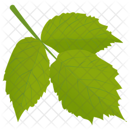 Aspen Leaves Icon