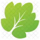 Aspen Tree Leaf  Icon