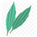 Aspidistra  Symbol