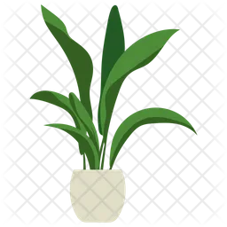 Aspidistra Potted Plant  Icon