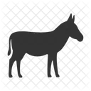 Ass Animal Donkey Icon