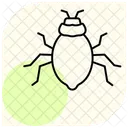 Assassinbug  Icon