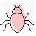 Assassinbug Insect Predator Icon