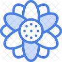 Aster Flowers Plant Icon