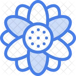 Aster  Icon