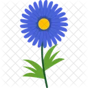 Aster Icon