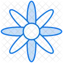 Aster  Symbol