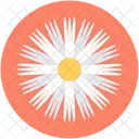 Aster Flower Calendula Icon