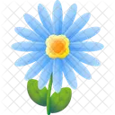 Aster  Icon