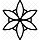 Aster Icon