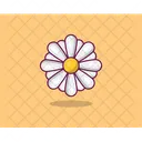 Aster Spring Flower Agriculture Icon