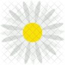 Aster Icon