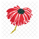 Blooming Flower Floral Blossom Icon