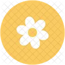Aster Flower Calendula Icon