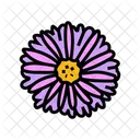 Aster Blossom Spring Icon