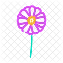 Aster Blossom Spring Icon