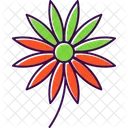 Aster Aster Flower Blossom Icon