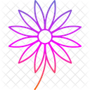 Aster  Icon