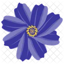 Aster Aster Flower Calendula Icon