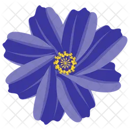 Aster Flower  Icon