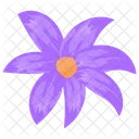 Aster Aster Flower Calendula Icon