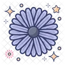 Aster Flower Icon