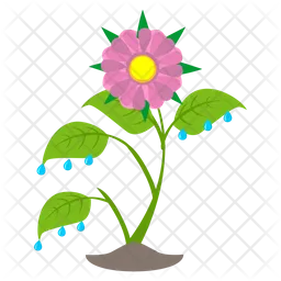 Aster Flower  Icon