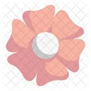 Aster Flower  Icon