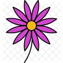 Aster  Icon