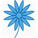 Aster  Icon