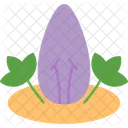 Asteraceae  Icon