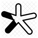 Asterisk Icon