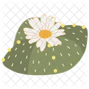 Astrophytum Cactus Succulent Icon