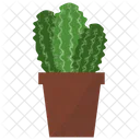 Pianta in vaso Astrophytum  Icon