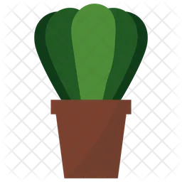 Pianta in vaso Astrophytum  Icon