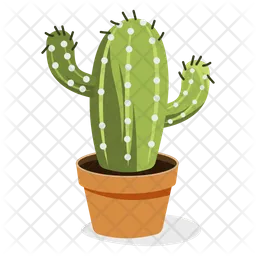 Astrophytum Plant  Icon