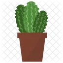 Astrophytum Potted Plant Icon
