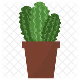 Astrophytum Potted Plant  Icon