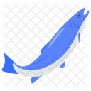 Atlantic salmon  Icon