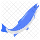 Atlantic salmon  Icon