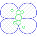 Atomchemie  Symbol