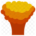 Atomexplosion Chemische Explosion Atombombe Symbol