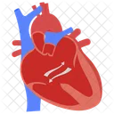 Atrioventricular canal  Icon