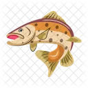 Vector De Pesca Iconos De Peces Criatura Marina Icono