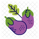 Aubergine Icon